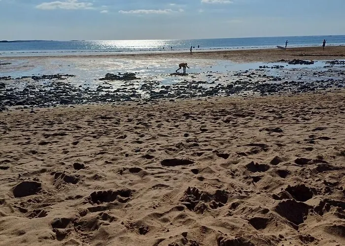 Anna's East Apartment